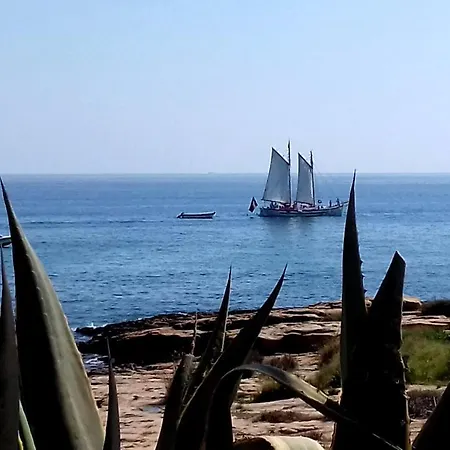 Queen Palm Apartment