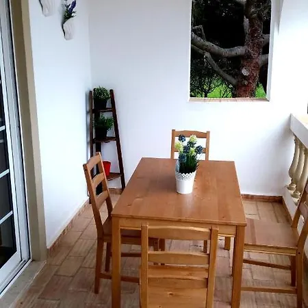 Queen Palm Apartment