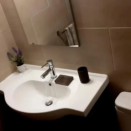 Queen Palm Apartment