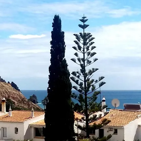 Queen Palm Praia Da Luz