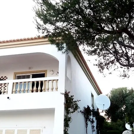 Apartment Queen Palm Luz