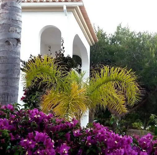 Apartment Queen Palm *