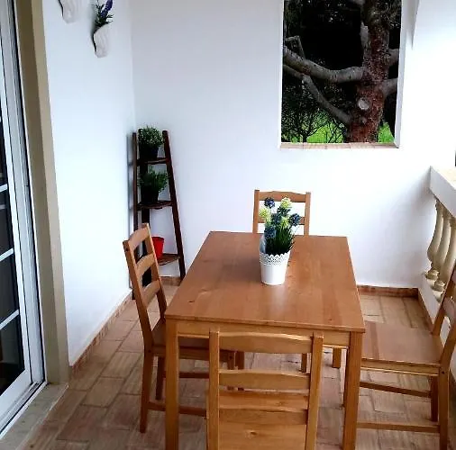 Queen Palm Apartment