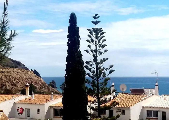 Queen Palm Praia Da Luz